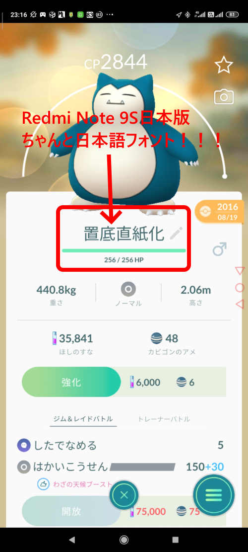 冬バーゲン ポケモンgo Goプラ 度のお供 Www Hallo Tv